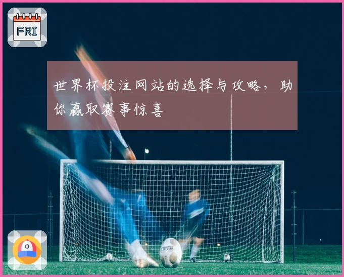 世界杯投注网站的选择与攻略，助你赢取赛事惊喜