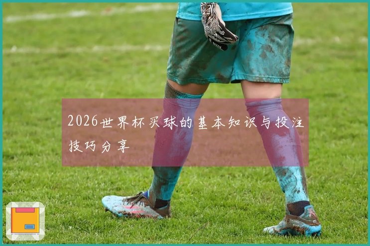 2026世界杯买球的基本知识与投注技巧分享