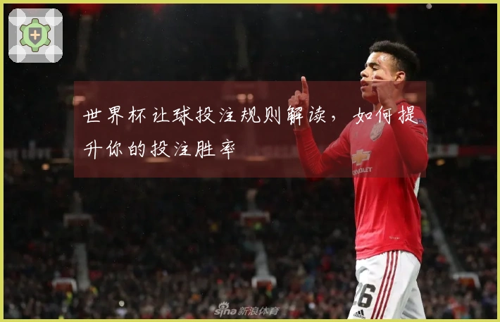 世界杯让球投注规则解读，如何提升你的投注胜率