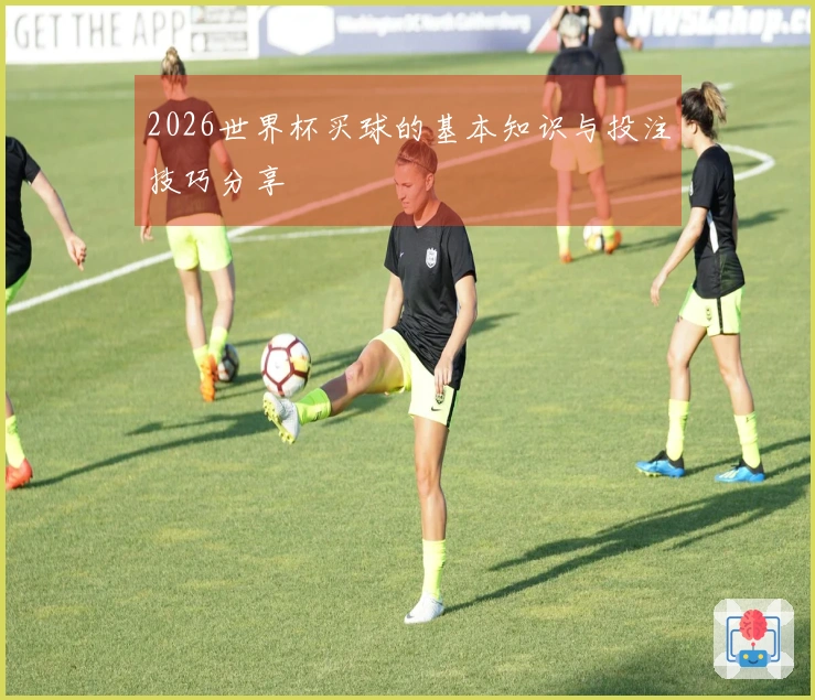 2026世界杯买球的基本知识与投注技巧分享