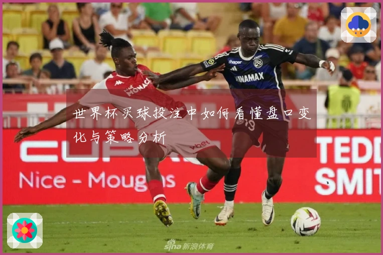 世界杯买球投注中如何看懂盘口变化与策略分析