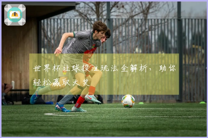 世界杯让球投注玩法全解析，助你轻松赢取大奖