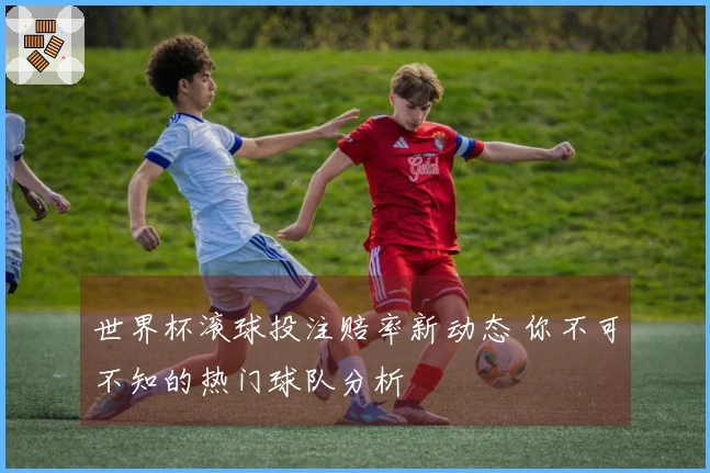 世界杯滚球投注赔率新动态 你不可不知的热门球队分析